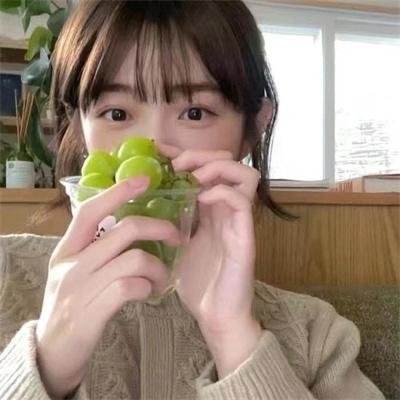 加菲猫和他的朋友们第七季